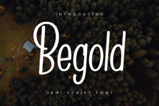 Begold: A Versatile Script Font for Modern Web Design