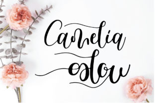 Camelia Glow: A Script Font for Branding