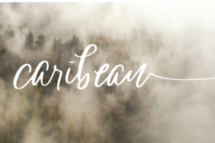 Caribean Font Review for Social Campaigns