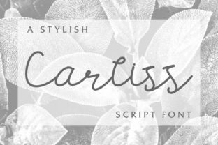 Carllis: A Relaxed Script Font for Editorial Design
