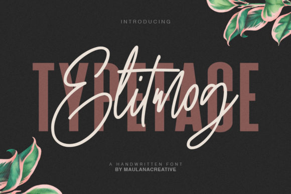 Elitmog Typeface Review: A Playful Script Duo for Modern Brands