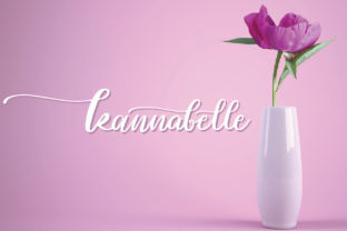 Kannabelle Font: Adding Playful Charm to Web Design