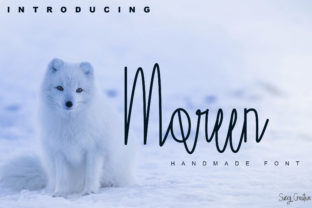 Moreen Font Review: A Handwritten Script for Web Design
